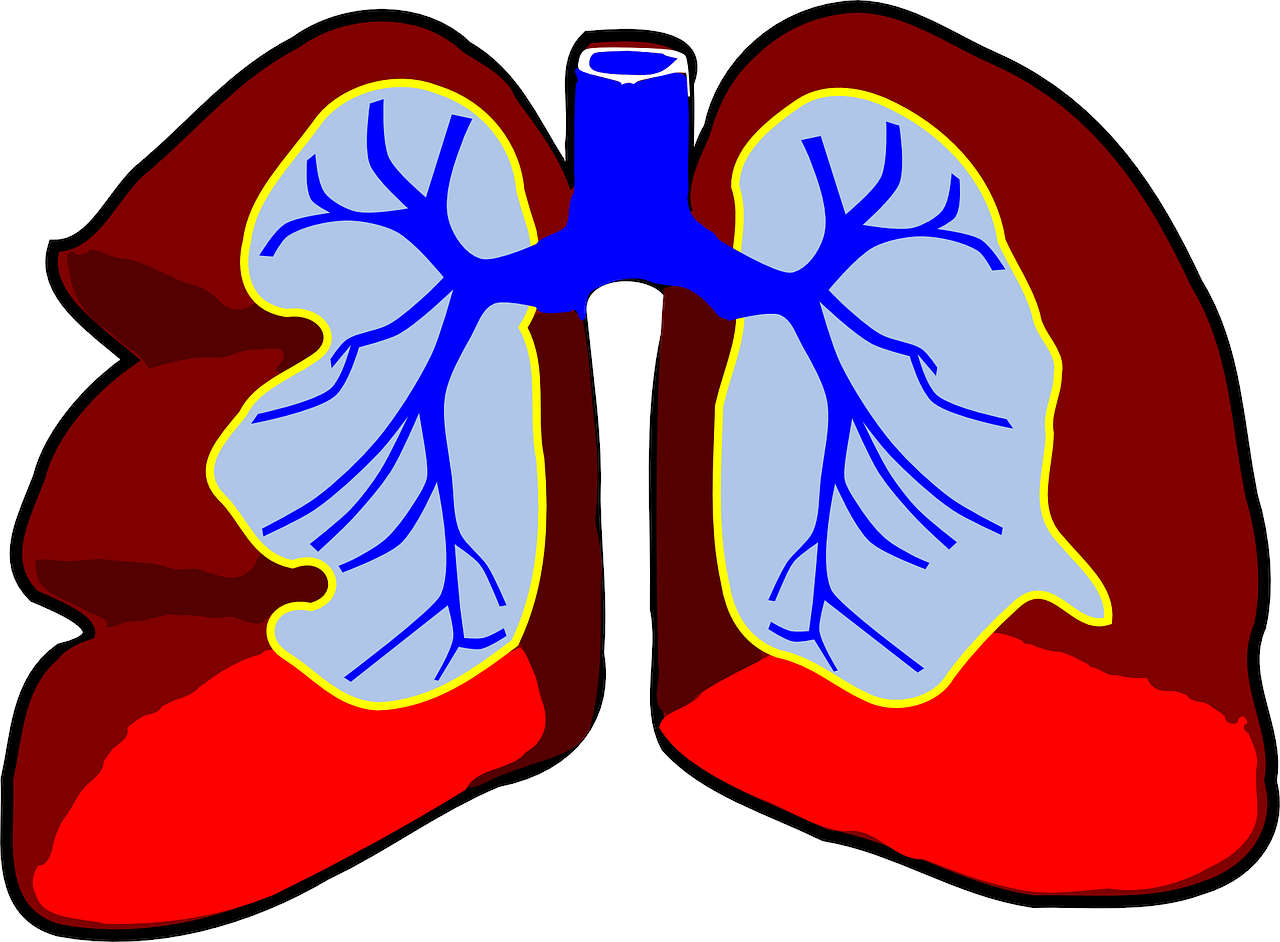 CBD oil and Your Lungs